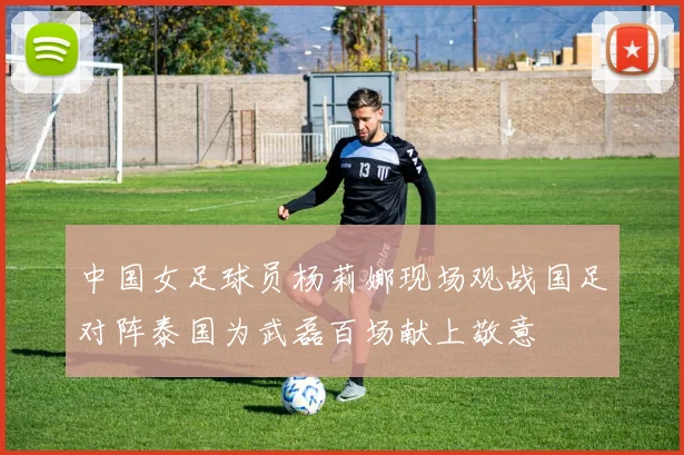 中国女足球员杨莉娜现场观战国足对阵泰国为武磊百场献上敬意